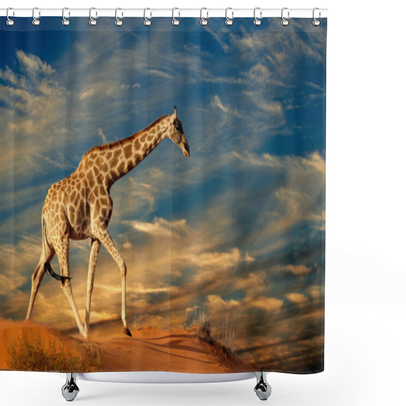 Personality  Giraffe On Sand Dune Shower Curtains