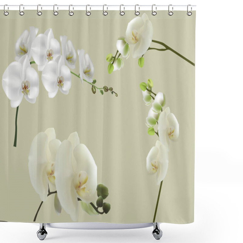 Personality  Illustration With Set Of Isolated White Large Orchid Flowers Shower Curtains