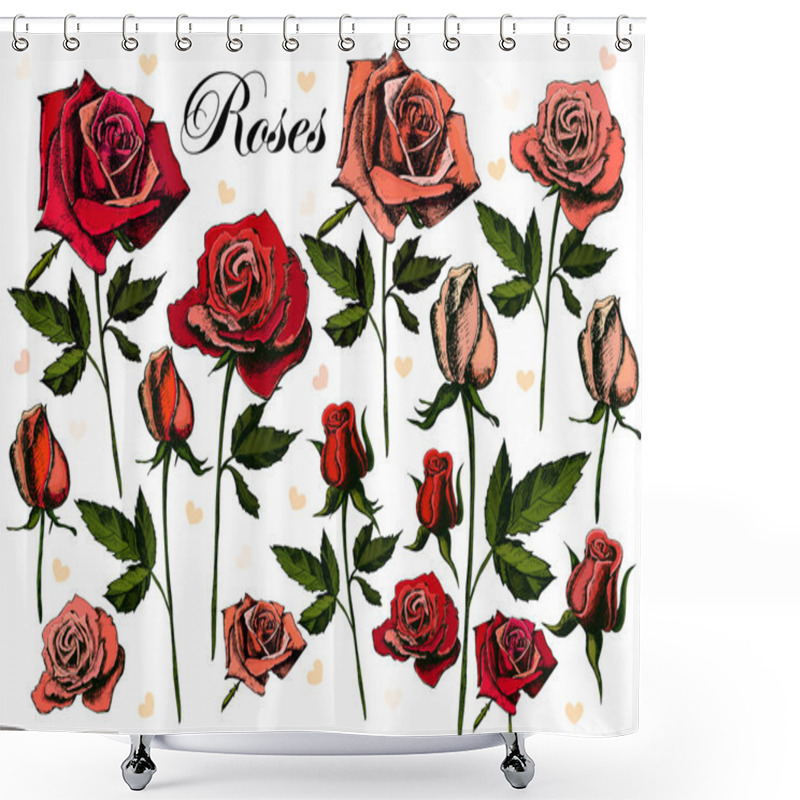 Personality  Hand Drawing Roses On A White Background Shower Curtains