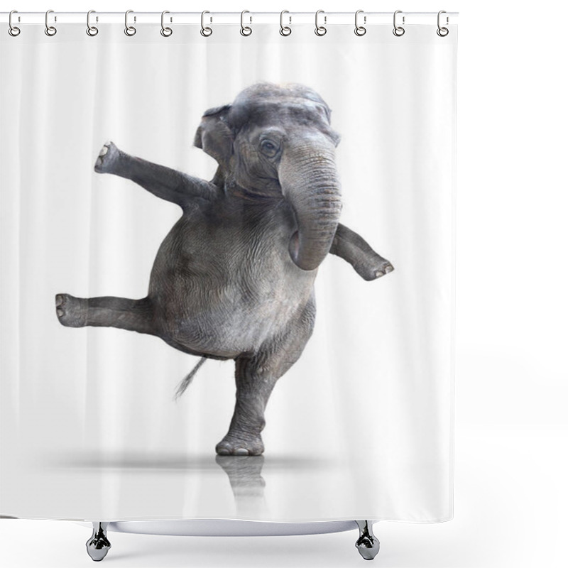 Personality  Elephant,elephant,dance,ballerina,dancer,animals,animals,animal Pictures, Shower Curtains