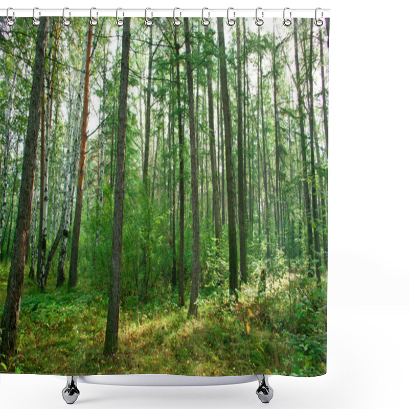 Personality  Forest Landscape Shower Curtains