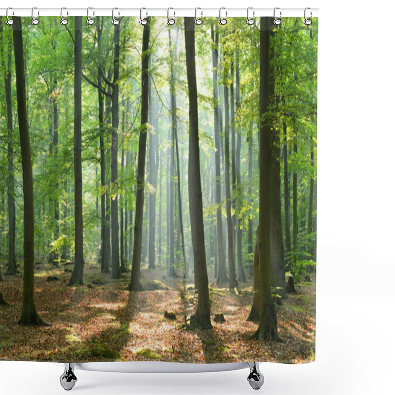 Personality  Beautiful Morning In Forest Shower Curtains