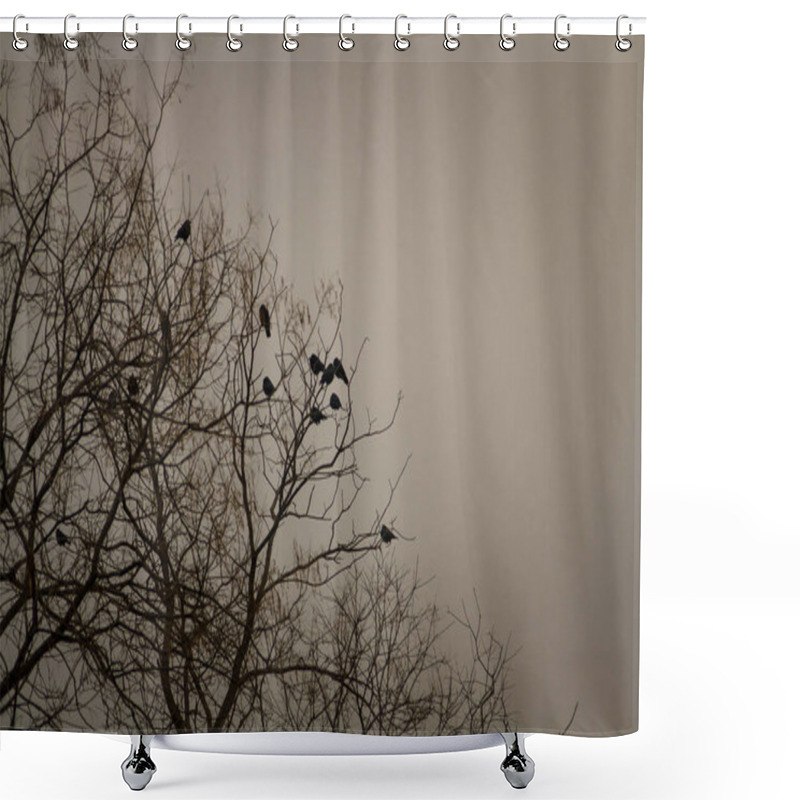 Personality  Black Crows Sitting On Tree Top. Birds Sitting On Bare Tree Branches In Winter On Grey Sky Background. Shower Curtains