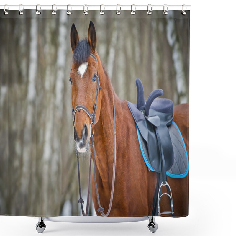 Personality  Chestnut Sidesaddle Horse Without Her Rider Shower Curtains