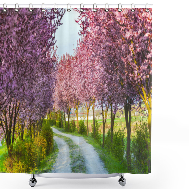 Personality  Garden With Blooming Sakura Trees In Spring Shower Curtains