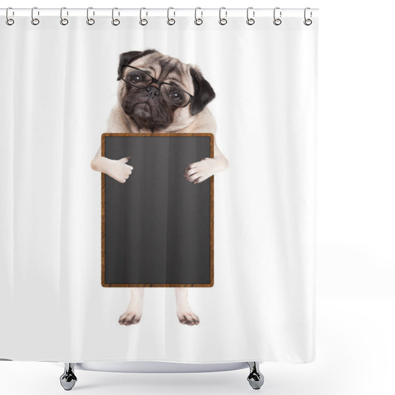 Personality  Cute Pug Puppy Dog With Glasses, Standing Up Holding Blank Blackboard Sign And Giving A Like With Thumb, Isolated On White Background Shower Curtains