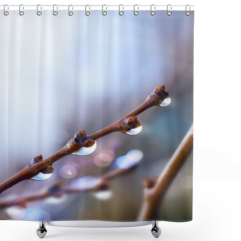 Personality  Art Beautiful Spring Tree Branch With Rain Drops Shower Curtains