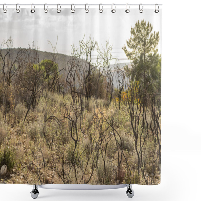 Personality  Powerful Image Of A Scorched Tree After A Forest Fire In The Cyprus Mountains, Highlighting The Devastating Impact Of Natural Disasters Shower Curtains