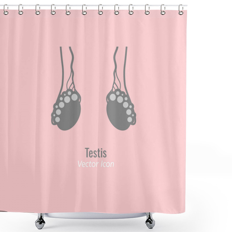 Personality  Endocrine Glands Image Shower Curtains