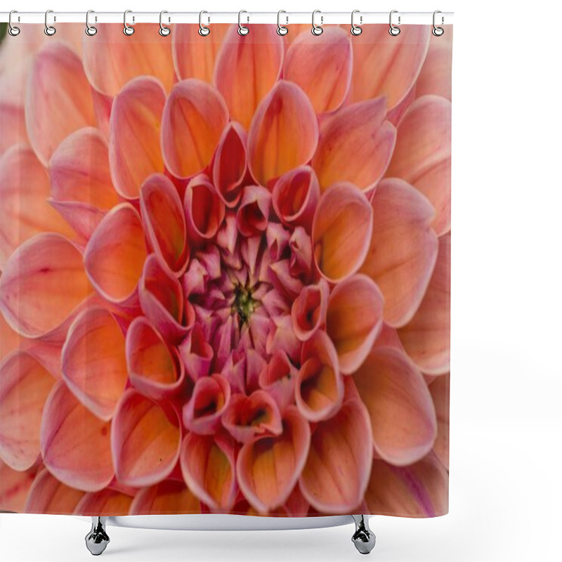 Personality  Closeup View Of Beautiful Dahlia Flower Shower Curtains