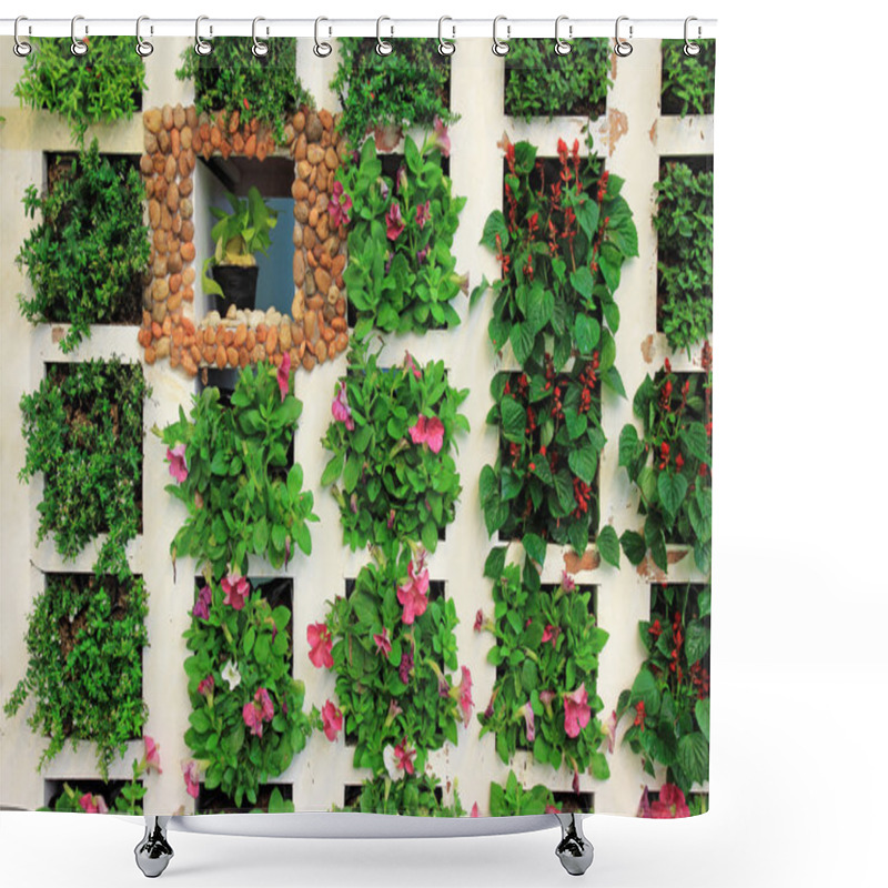 Personality  Plant In Frame Background Shower Curtains