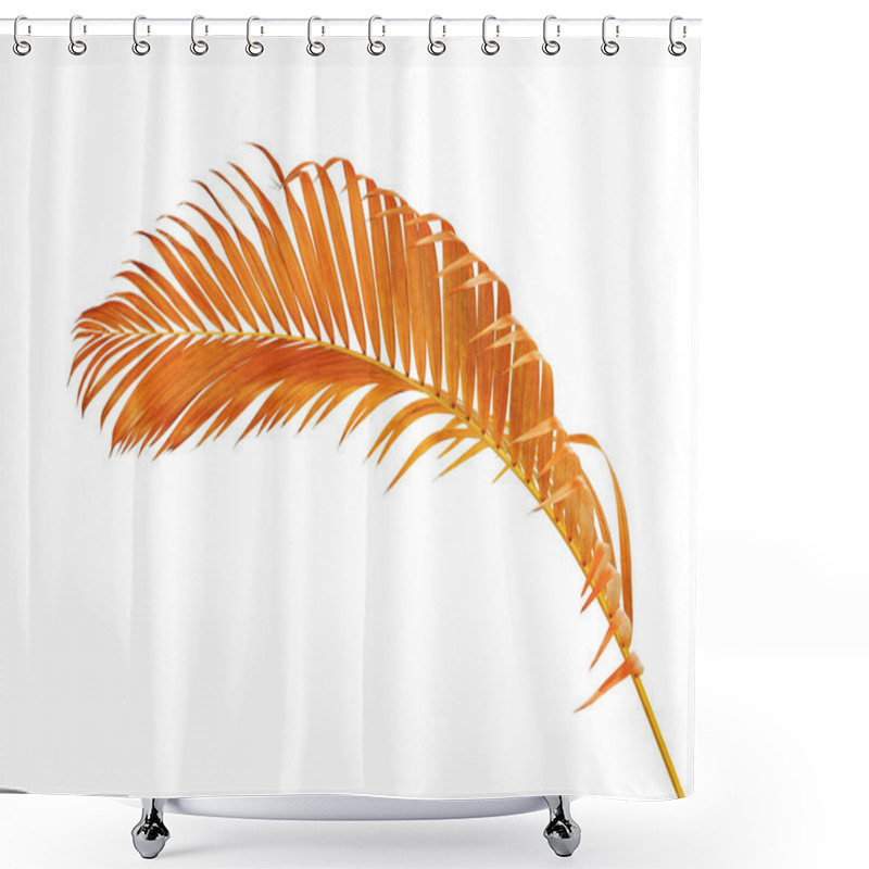 Personality  Yellow Palm Leaves (Dypsis Lutescens) Or Golden Cane Palm, Areca Palm Leaves, Tropical Foliage Isolated On White Background With Clipping Path  Shower Curtains