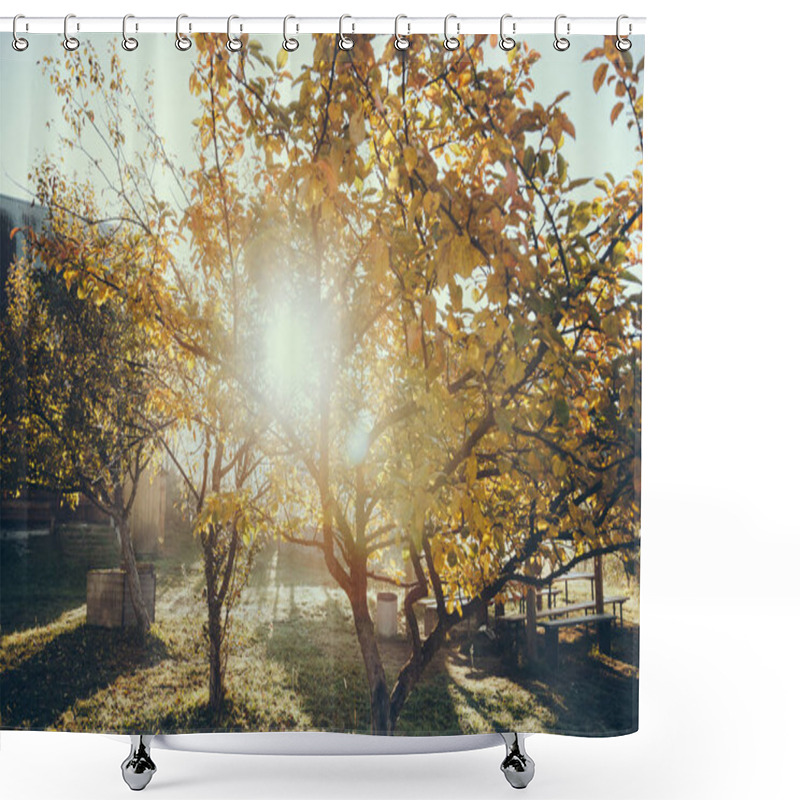 Personality  Sun Shining Through Autumnal Golden Tree In Garden, Carpathians, Ukraine Shower Curtains