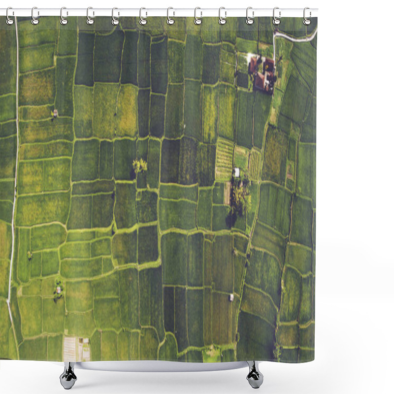 Personality   Traditional Method For Cultivating Rice  Shower Curtains