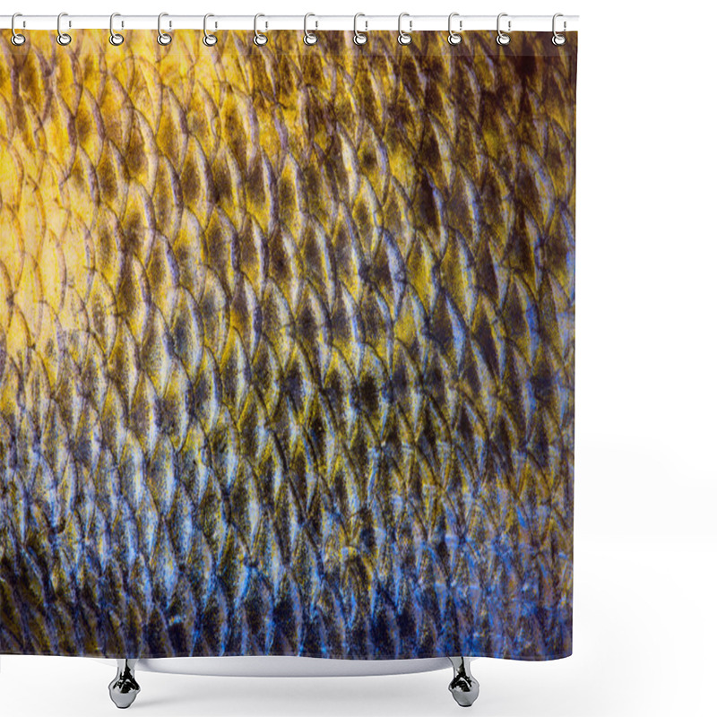 Personality  Art Real Zander Fish Scales Background  Shower Curtains