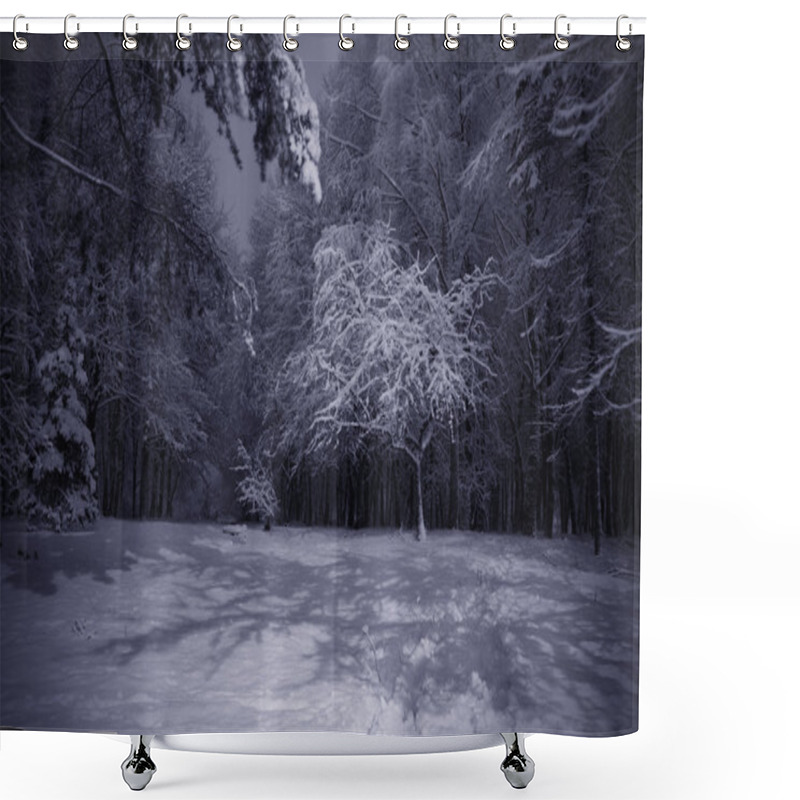 Personality  Winter Night Landscape Shower Curtains