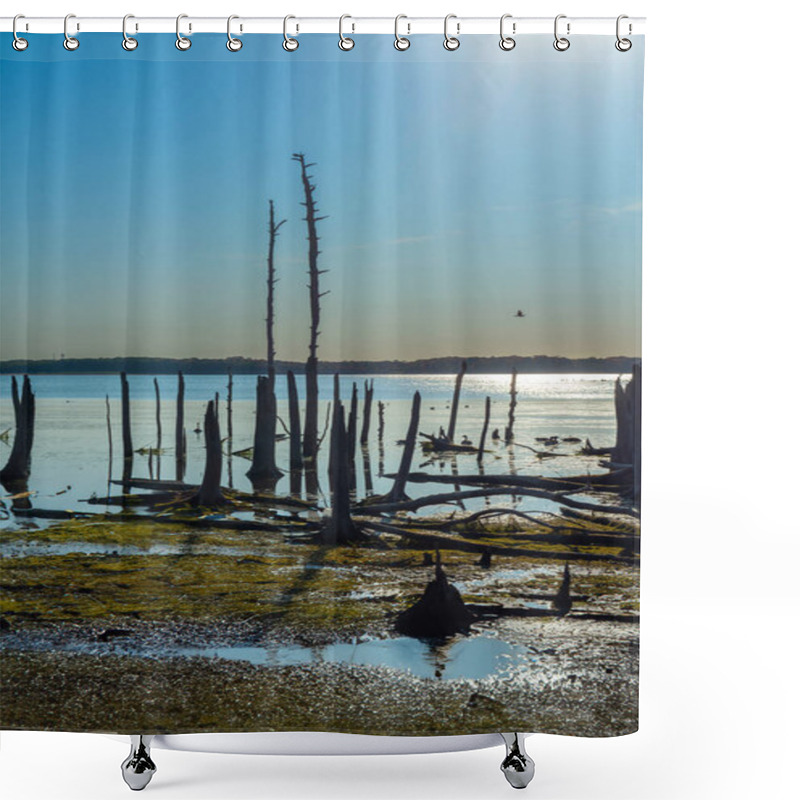 Personality  The Dead Tree Stumps In Manasquan Reservoir In Monmouth County, New Jersey. Shower Curtains