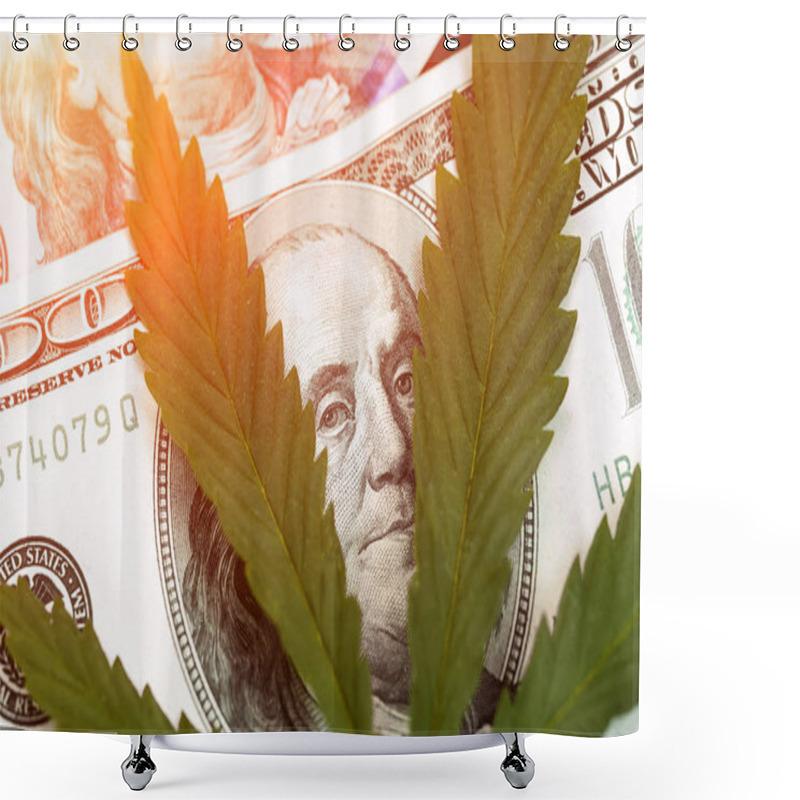 Personality  Sheet Of Marijuana In The Sunlight . Money With Marijuana Leaves Close. Hemp With Money. Marijuana Leaves On A Stack Of Dollar Bills Shower Curtains