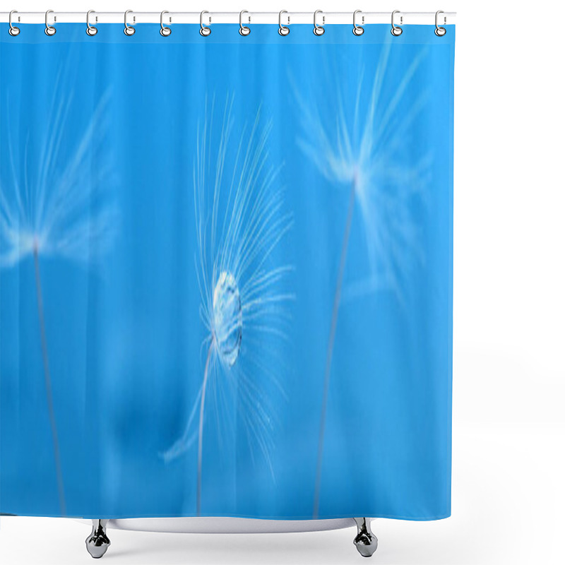 Personality  Macro Photo, Dandelion Seeds In Dew Drops On A Mystical Blue Background Shower Curtains