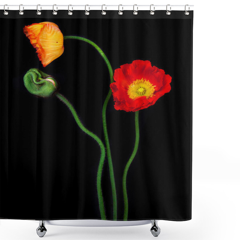 Personality  Red Poppies Shower Curtains