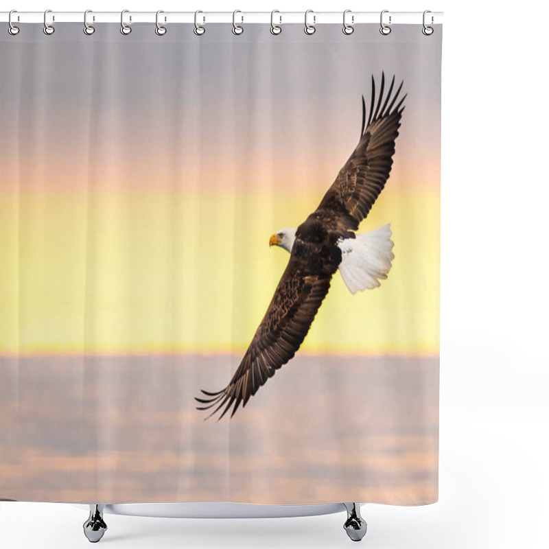 Personality  American Bald Eagle In Flight Over Alaska's Cook Inlet And Kachemak Bay And Against Vivid Sunset Sky Shower Curtains