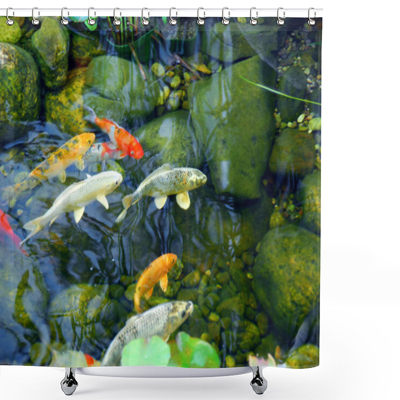 Personality  Koi Pond Shower Curtains