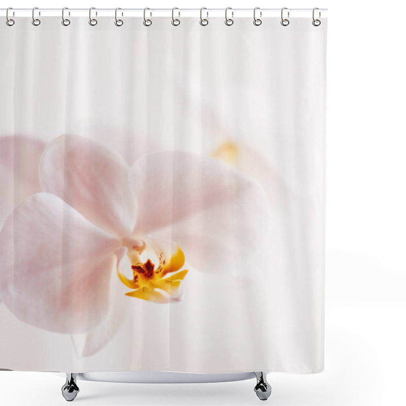 Personality  Pink Orchid Flower In Bloom, Abstract Floral Blossom Art Backgro Shower Curtains