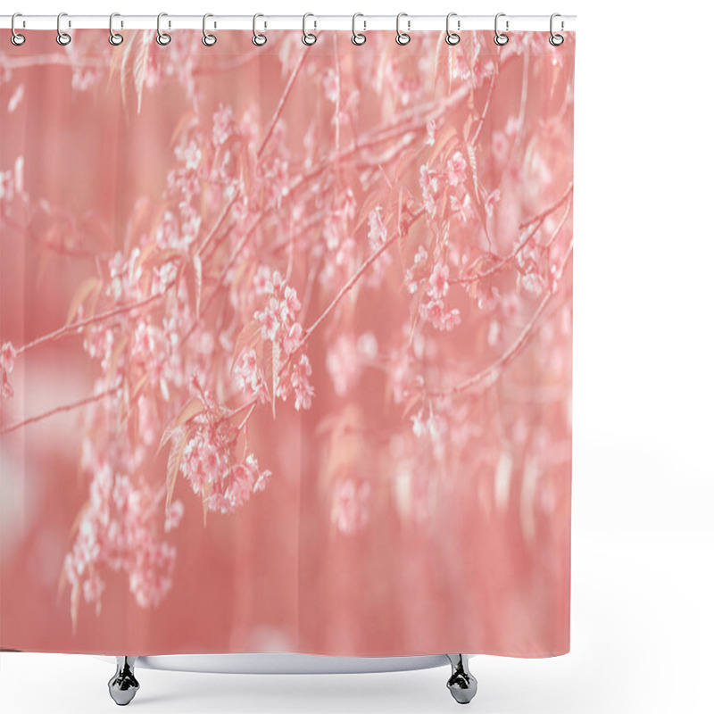 Personality  Beautiful Pink Sakura  Shower Curtains