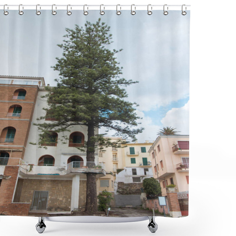 Personality  Bottom View Of Pine Growing In Front Of Old European Building, Anzio, Italy Shower Curtains