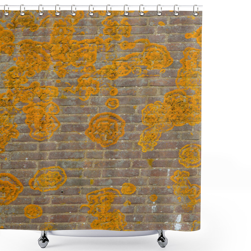 Personality  Orange Crustose Lichen  Shower Curtains