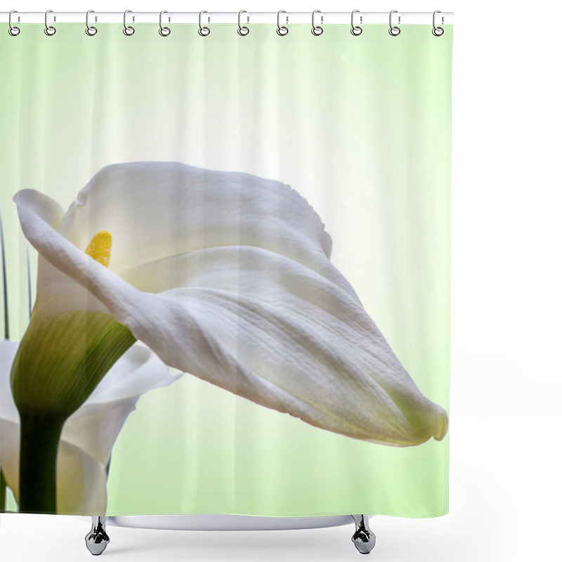 Personality  Close-up Of White Calla Lilly Shower Curtains