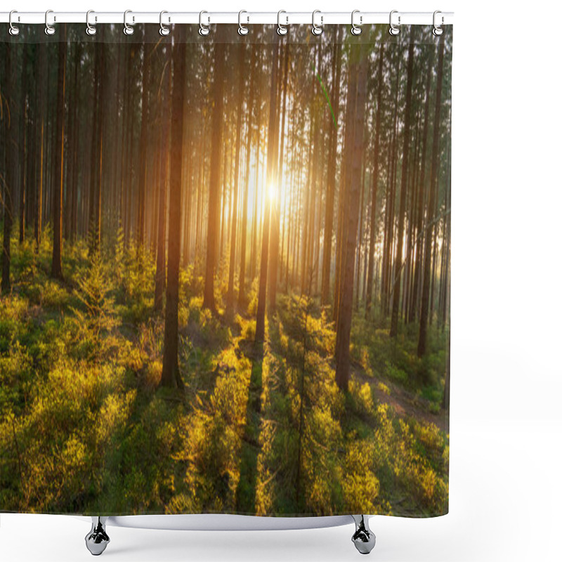 Personality  Silent Forest In Spring With Beautiful Bright Sun Rays - Wanderlust Shower Curtains