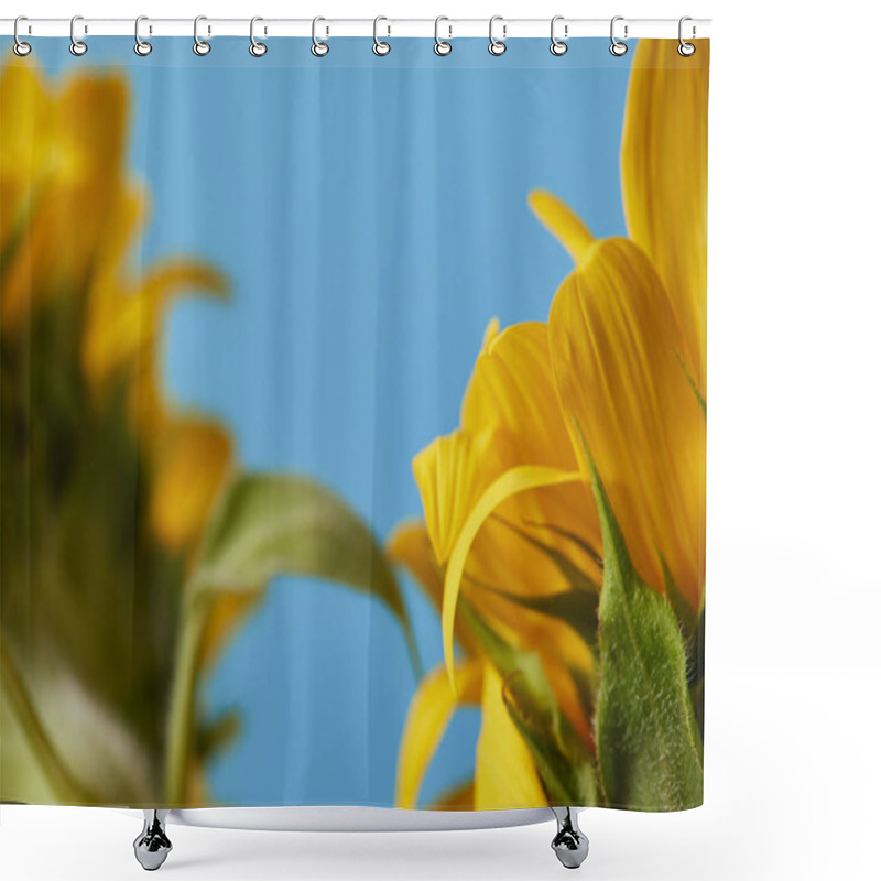 Personality  Selective Focus Of Yellow Sunflowers, Close Up On Blue Shower Curtains