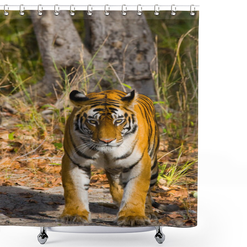 Personality  Tiger On Fallen Leaves Background. Shower Curtains