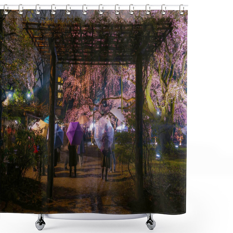 Personality  Weeping Cherry Tree In Full Bloom Of Rikugien Shower Curtains