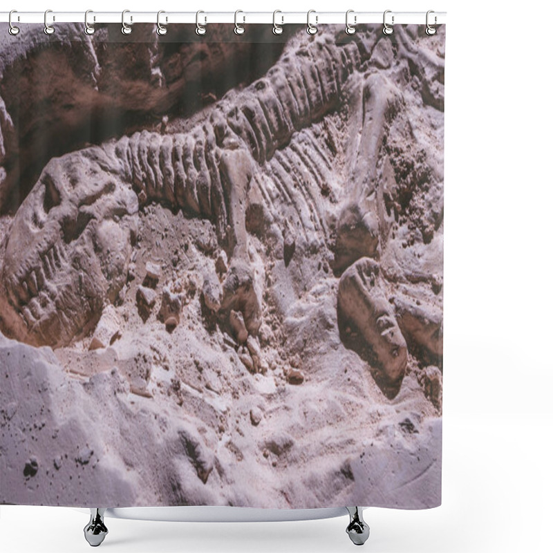 Personality  Skeleton Of Dinosaur. Tyrannosaurus Rex Simulator Fossil In Ground Stone. Shower Curtains