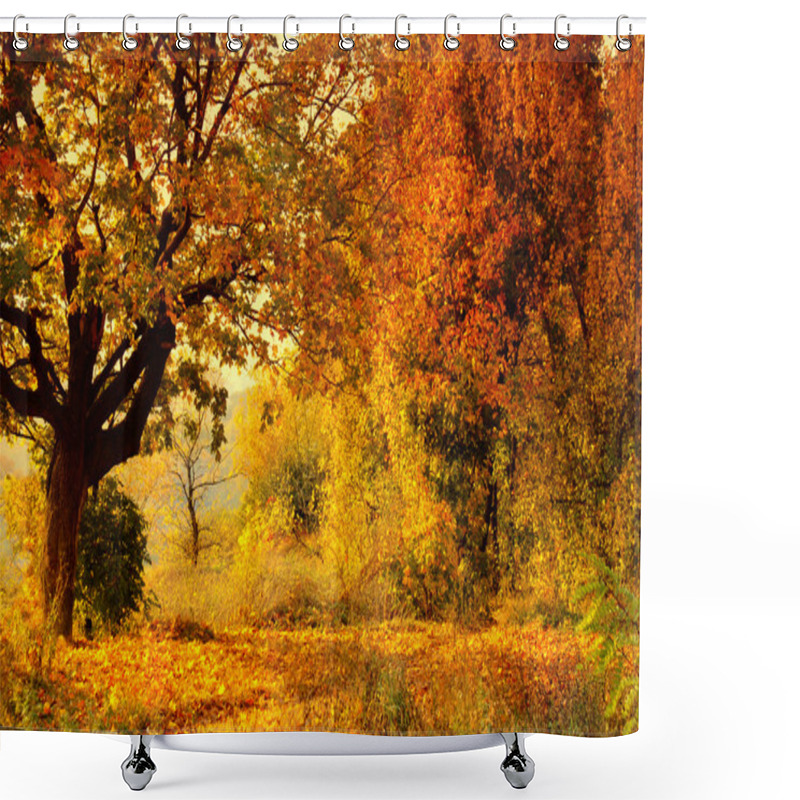 Personality  Autumn Forest Shower Curtains