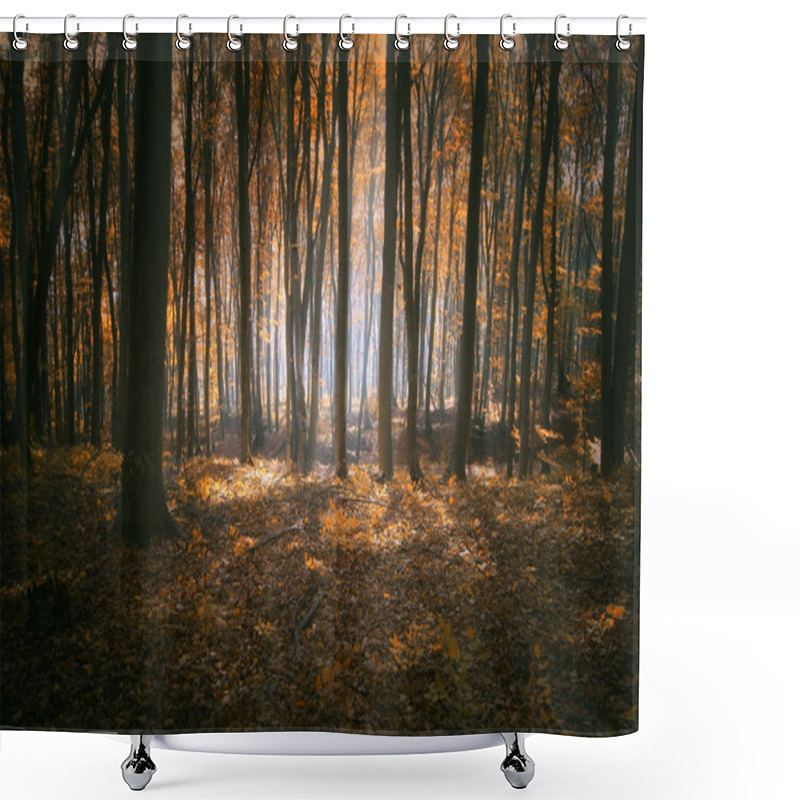 Personality  Autumn Light In Forest Shower Curtains