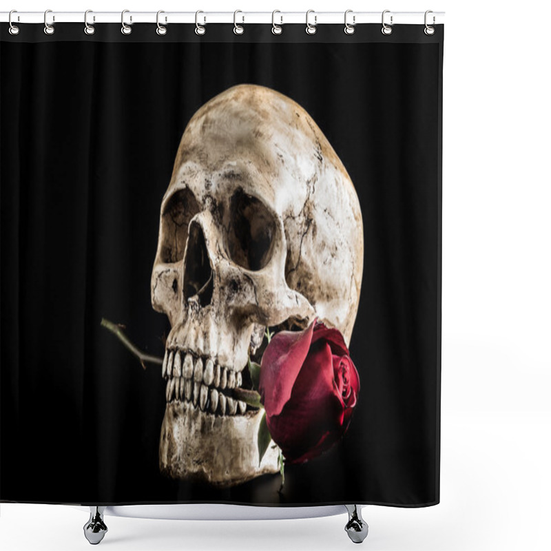 Personality  Still Life Skull Shower Curtains