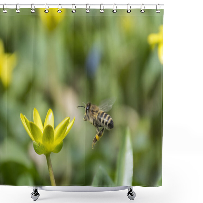 Personality  Bee Flying To A Flower Shower Curtains