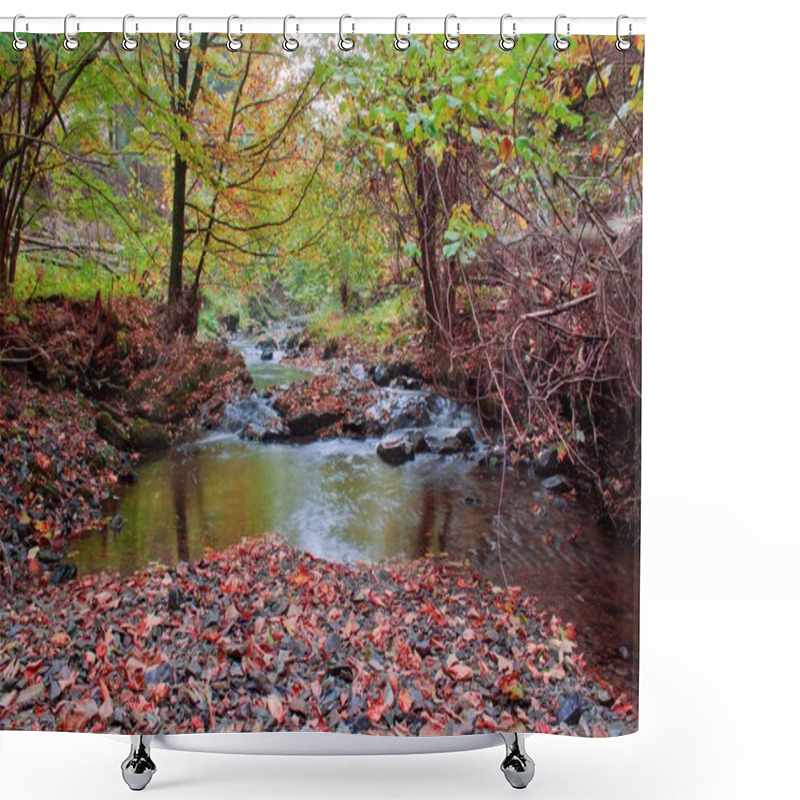 Personality  Autumn Stream In The Forest In Sunny Day Shower Curtains