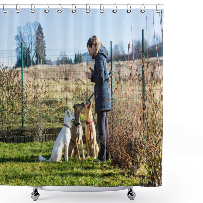 Personality  Woman Instructing Dogs Outside Shower Curtains