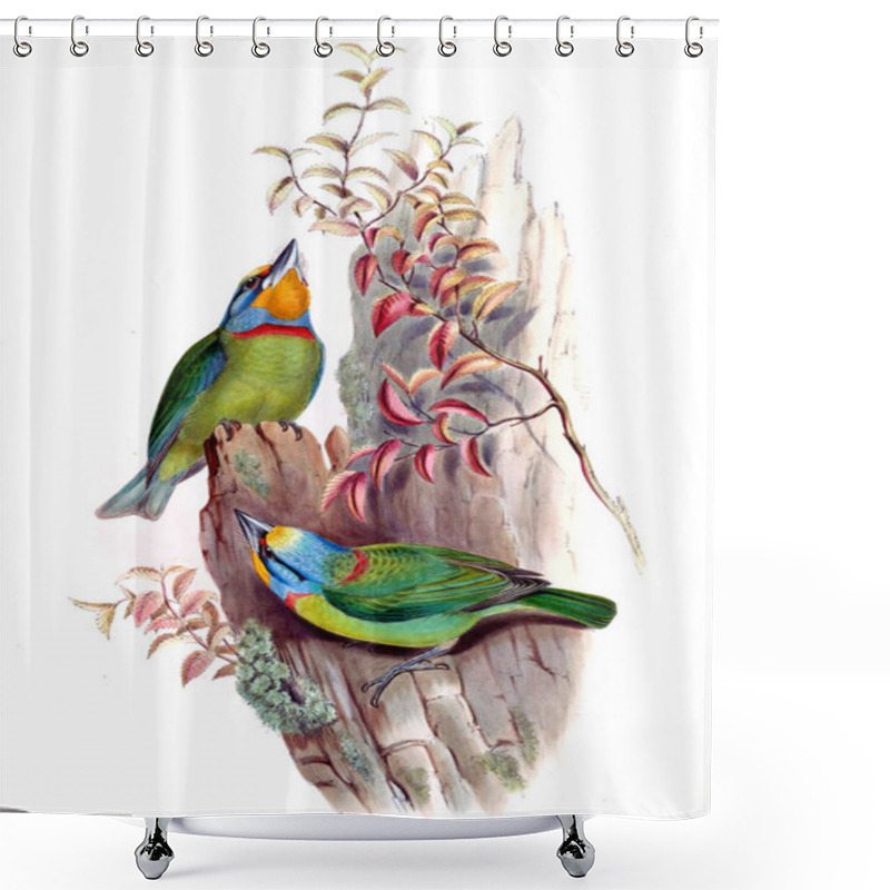 Personality  Illustration Of Animals Old Image Shower Curtains