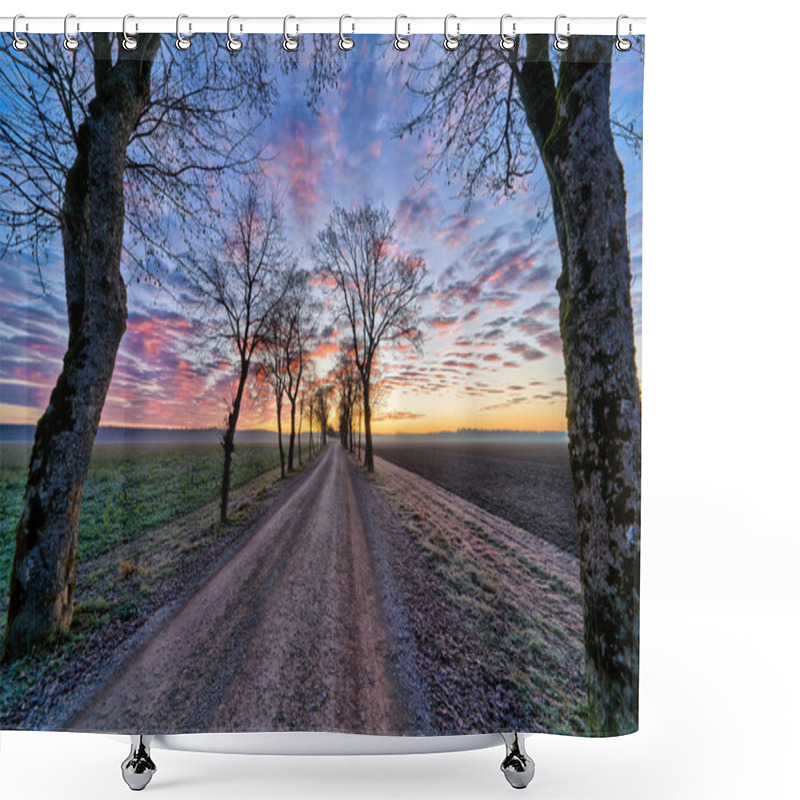 Personality  Dirt Road With Maple Trees In Winter Sunrise Shower Curtains