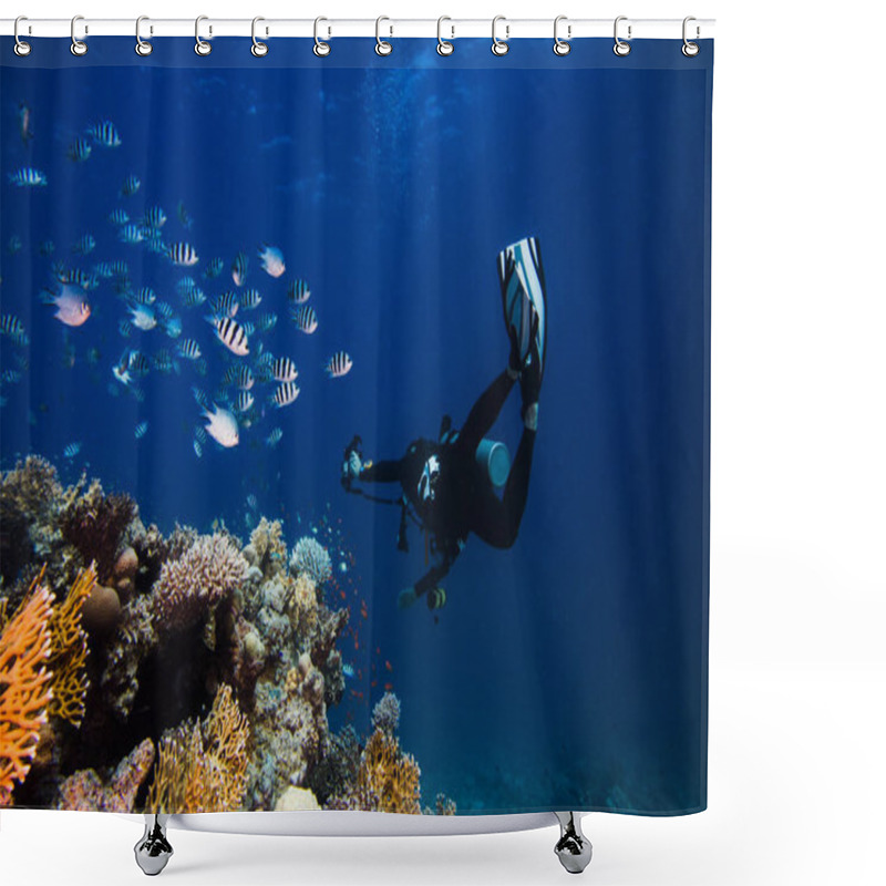 Personality  Diver Swimming Next To The Reef With His Torch Shining Looking At The Scissortail Sergent (Abudefduf Sexfasciatus) Fish Shower Curtains