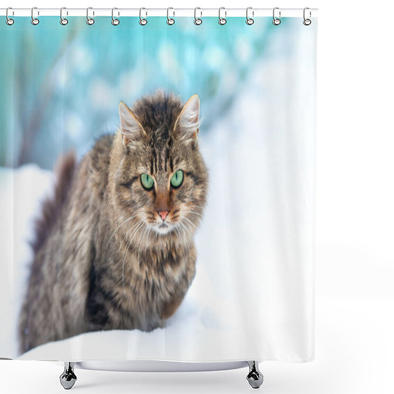 Personality  Cute Siberian Cat Walking In The Snow Shower Curtains