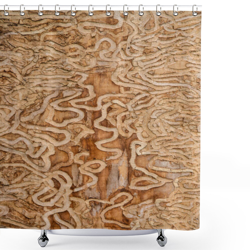 Personality  Sinuous Curve Drawing Made By The Insect The Emerald Ash Borer Under The Bark Of A Mature Tree Shower Curtains