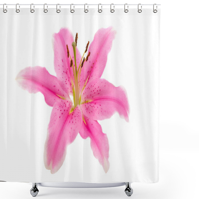 Personality  Pink Lily Isolated  Shower Curtains