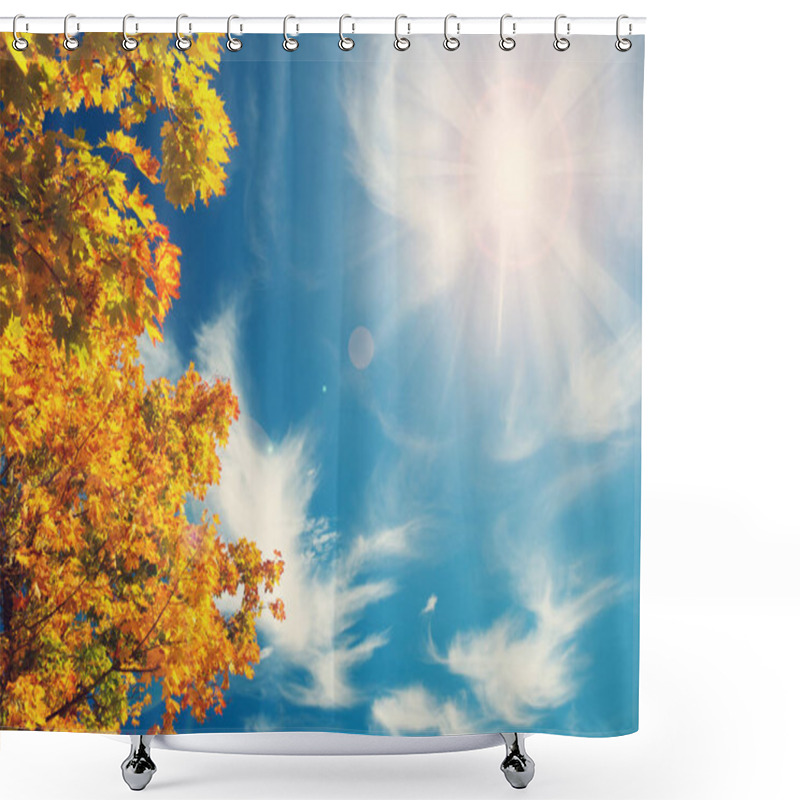 Personality  Yellow Maple Leaves In Autumn On Blue Sky Background Shower Curtains