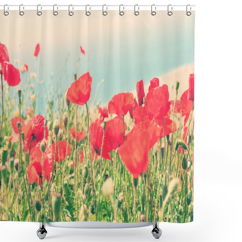 Personality  Beautiful Red Poppy Flowers Shower Curtains